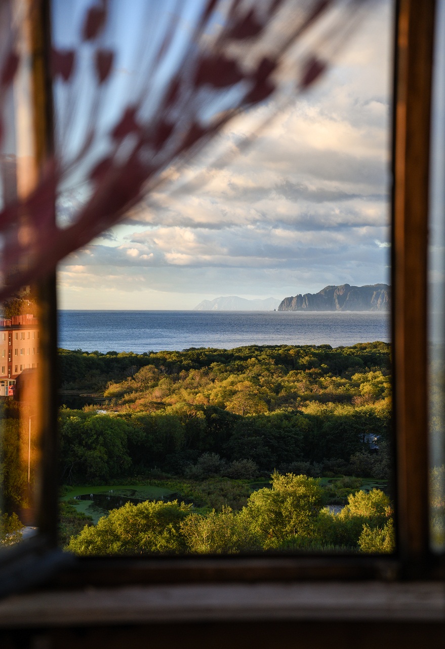 Из окна были видны стволы вишен. Петропавловск-Камчатский вид из окна. Красивый вид из окна. Окно с красивым видом. Вид из окна на море.